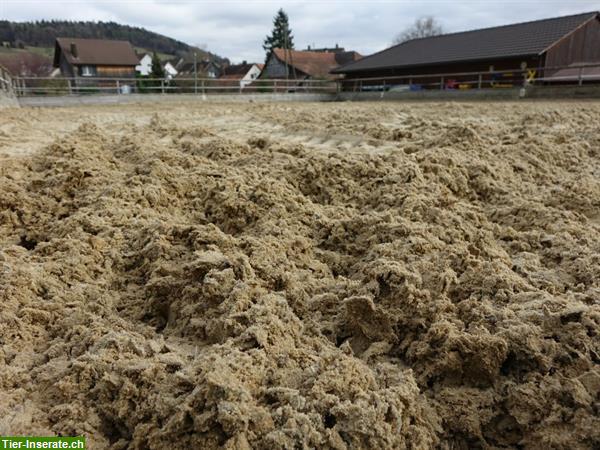 Bild 5: Günstige Sanierung von Reitplatz und Reithallenböden