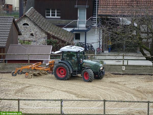 Bild 8: Günstige Sanierung von Reitplatz und Reithallenböden