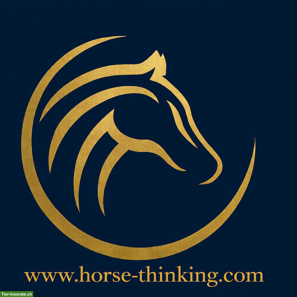 Horse Thinking – Fachkompetenz im Pferdetraining und Coaching
