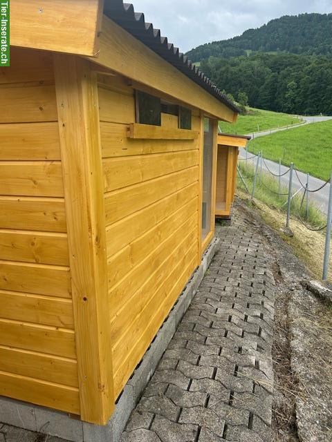 Bild 3: Tierfreundlicher Hühnerstall für 5-10 Hühner