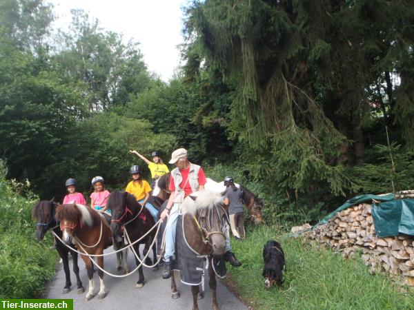 Bild 2: Erlebnisreitlager im Wolftobel Appenzellerland - Frühling, Sommer, Herbst