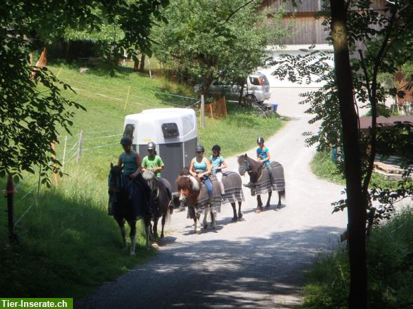 Bild 3: Erlebnisreitlager im Wolftobel Appenzellerland - Frühling, Sommer, Herbst