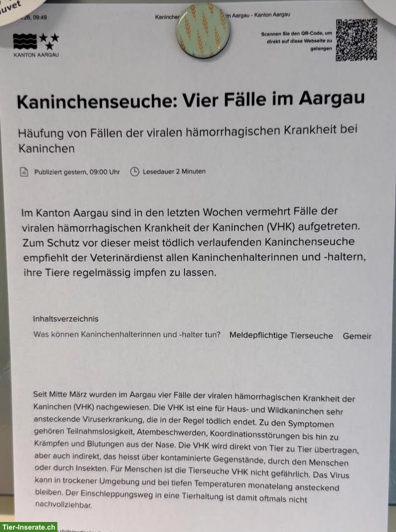 Bild 5: Biete Kleintierbetreuung bei mir Zuhause im Aargau