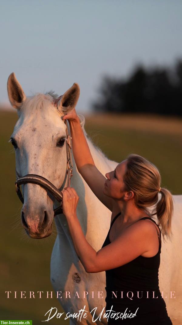 Bild 3: Tiertherapie Niquille - der sanfte Unterschied - Therapie & Training