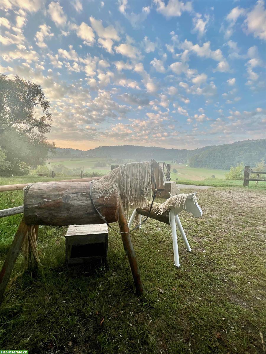 Offenstall für Ponys & Kleinpferde im idyllischen Weiertal, Winterthur