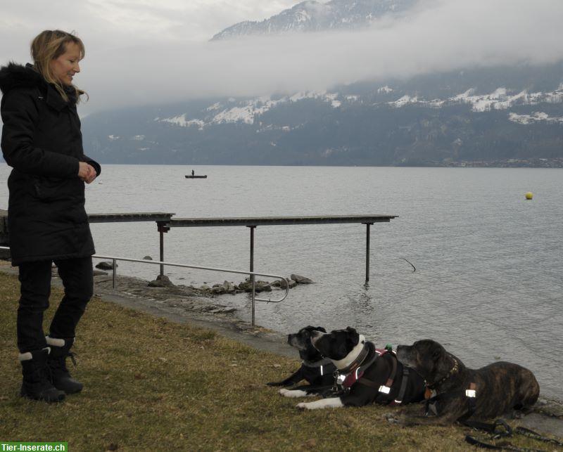 Bild 2: Lakota Dog Whisperer zertifizierte Hundetrainerin Verhaltensberaterin