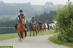 Lässige Reitlager für Kinder & Jugendliche auf dem Brikerhof