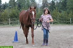 Reitferien für Kinder im Zürcher Oberland