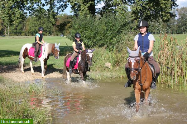 Bild 3: Reitferien für Kinder im Zürcher Oberland