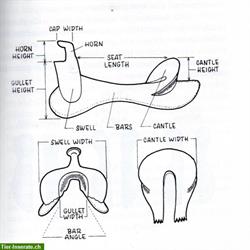 Neutrale Westernsattel Beratung und Passformüberprüfung