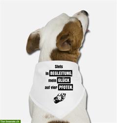 Süßes Spruch-Bandana für Ihren Hund