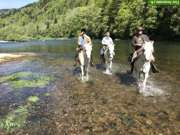 Bild 8: Reitferien, Tagesritte in den Freibergen für Erwachsene & Kinder