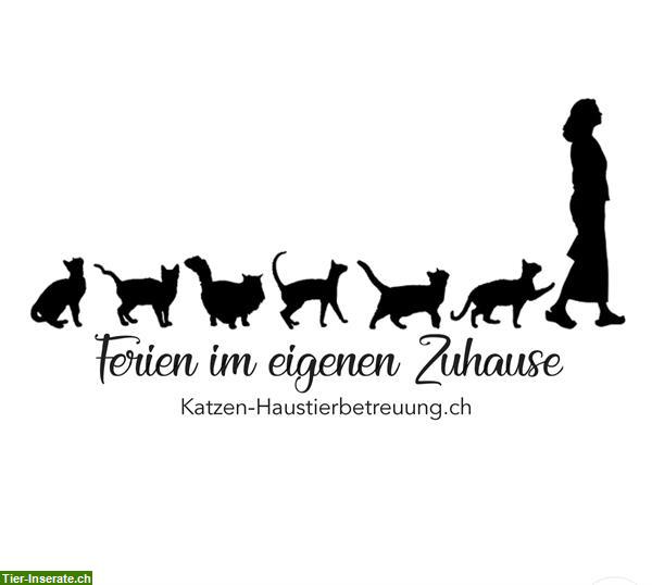 Mobile Katzenbetreuung: Stadt Zürich bis Thalwil