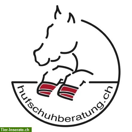 Hufschuhberatung in der Region Ostschweiz / Zürich