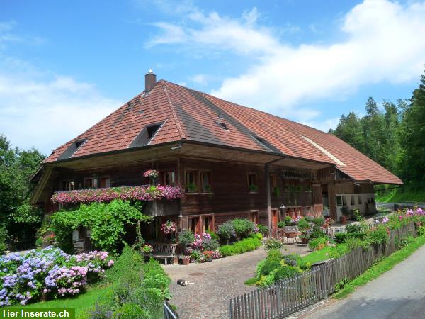 Auslaufbox zu vermieten in Oftringen AG