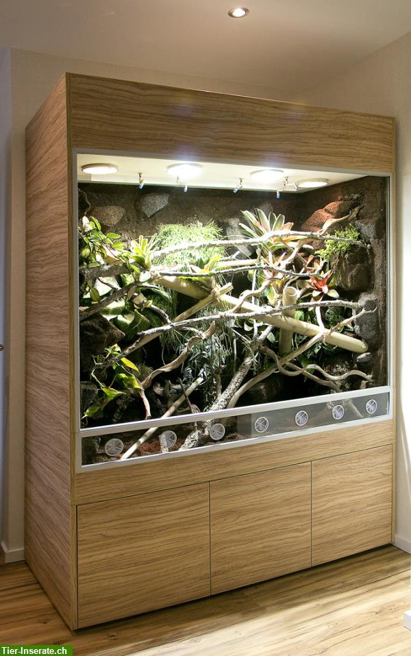 Bild 1: Regenwaldterrarium für Taggeckos, Phelsumen, Typ R03