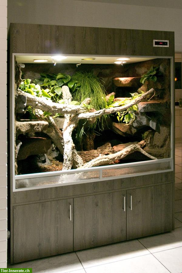 Bild 1: Terrarium für Schlangen unser Typ T07 - Halbfeucht-/Waldterrarium