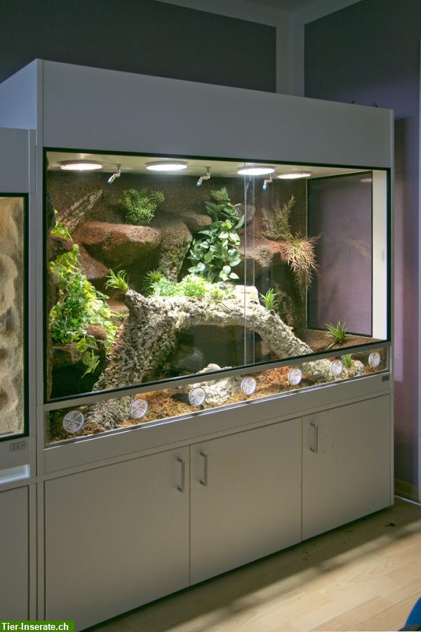 Bild 3: Terrarium für Schlangen unser Typ T07 - Halbfeucht-/Waldterrarium