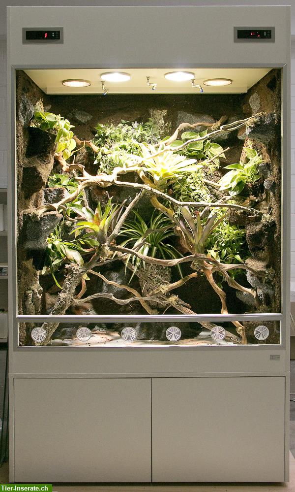 Bild 3: Regenwald Terrarium für ein Chamäleon, unser Typ R03