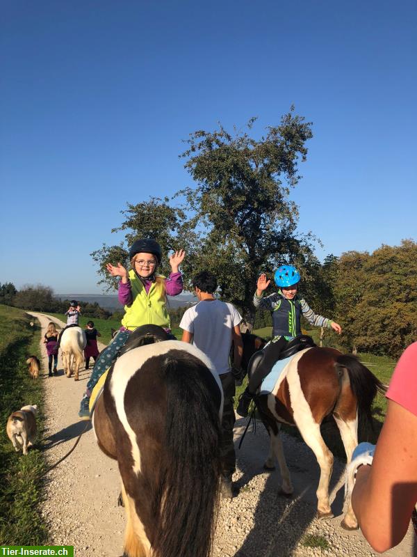 Bild 4: Ponytage & Reitlager mit Islandpferden im Aargau