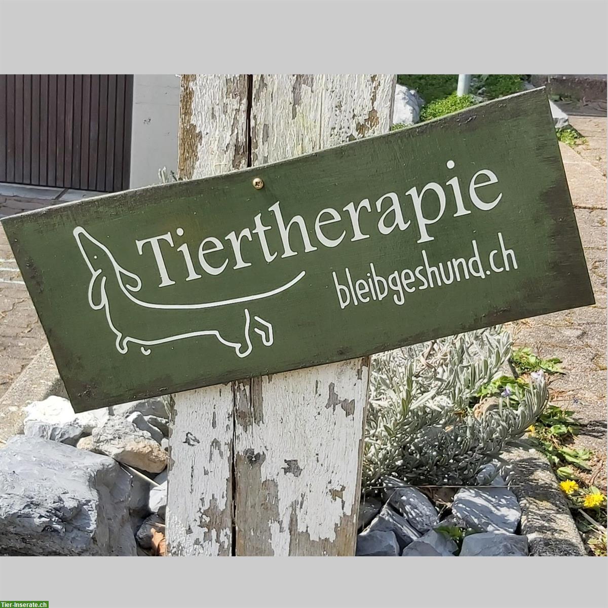 Bild 2: Tiershiatsu und Craniosacrale Balance