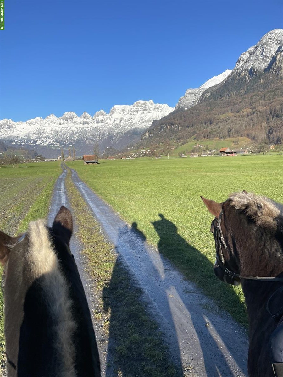 Bild 4: Erholsame Ferien mit dem eigenem Pferd