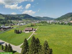 Pferde Altersweiden zu vergeben im Toggenburg