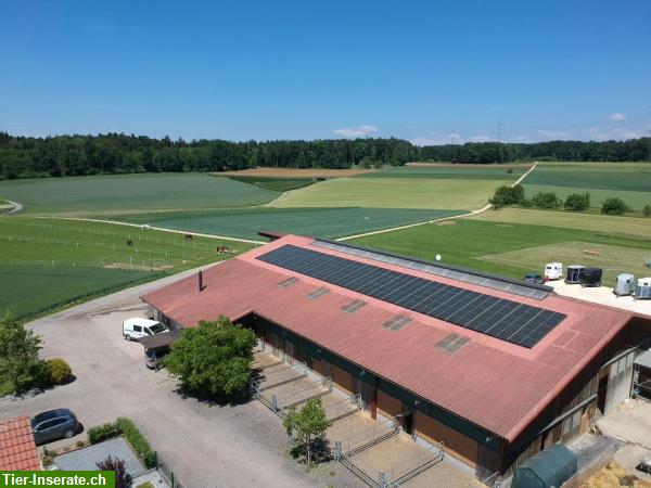 Bild 2: Schöne Auslaufboxen zu vermieten im Baselland