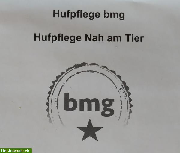 Bild 2: Ganzheitliche Hufpflege Nah am Tier