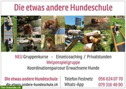 Die etwas andere Hundeschule im Freiamt, Aargau