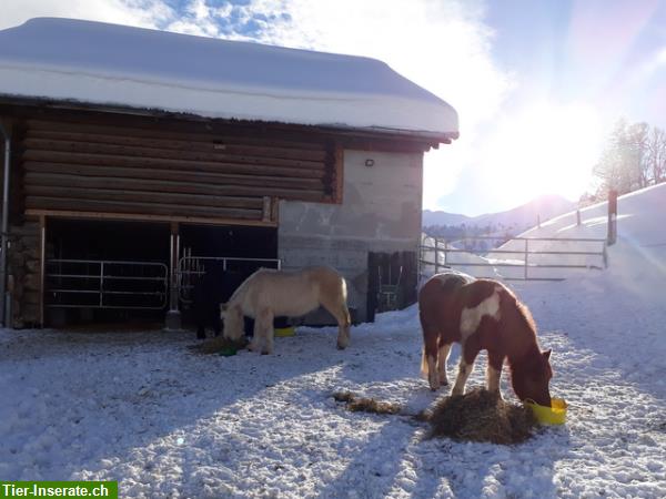 Bild 5: Alters- und Auszeitplätze frei im Kanton Graubünden