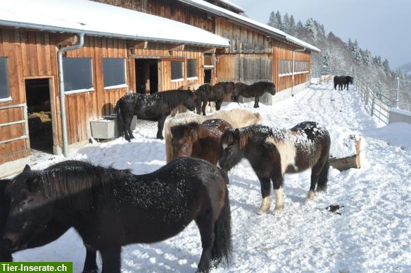 Bild 6: Alters- und Auszeitplätze frei im Kanton Graubünden