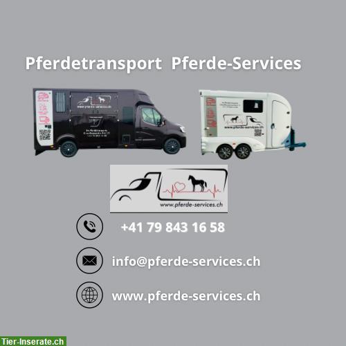 Pferdetransporte - Pferde Services - Pferdeverzollung