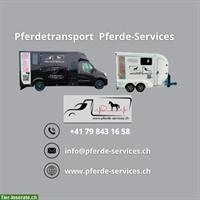 Pferdetransporte - Pferde Services - Pferdeverzollung