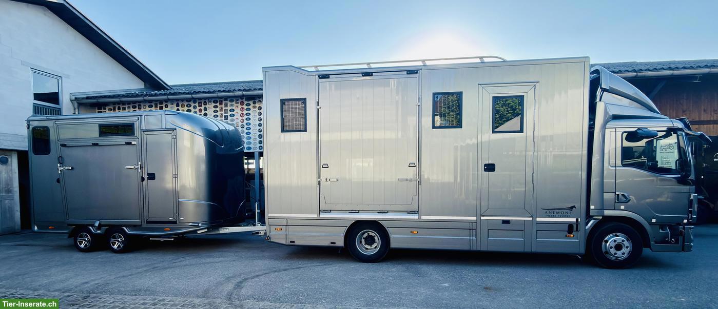 Bild 7: Pferdetransporte, Klinikfahrten,  Pferdeverzollung