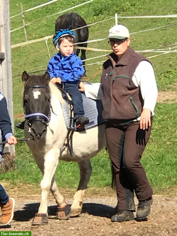 Bild 3: Reitpädagogik für Kinder