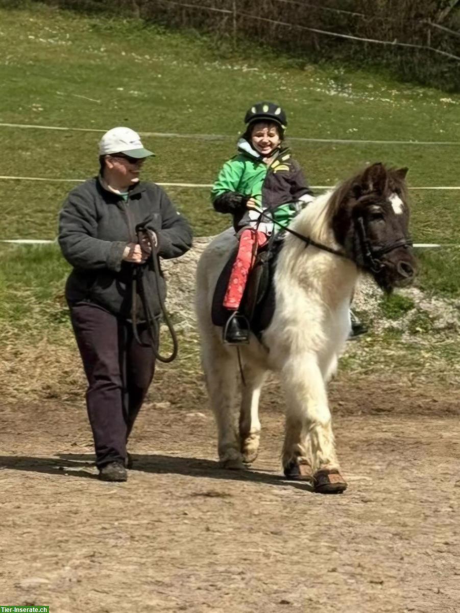 Bild 6: Reitpädagogik für Kinder