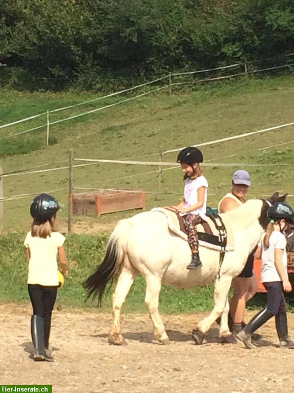 Bild 7: Reitpädagogik für Kinder