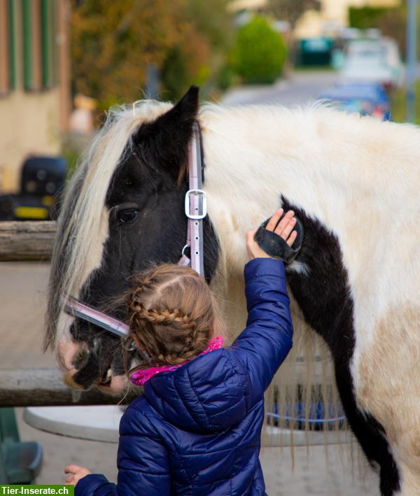 Reittherapie für Kinder, Jugendliche und Erwachsene