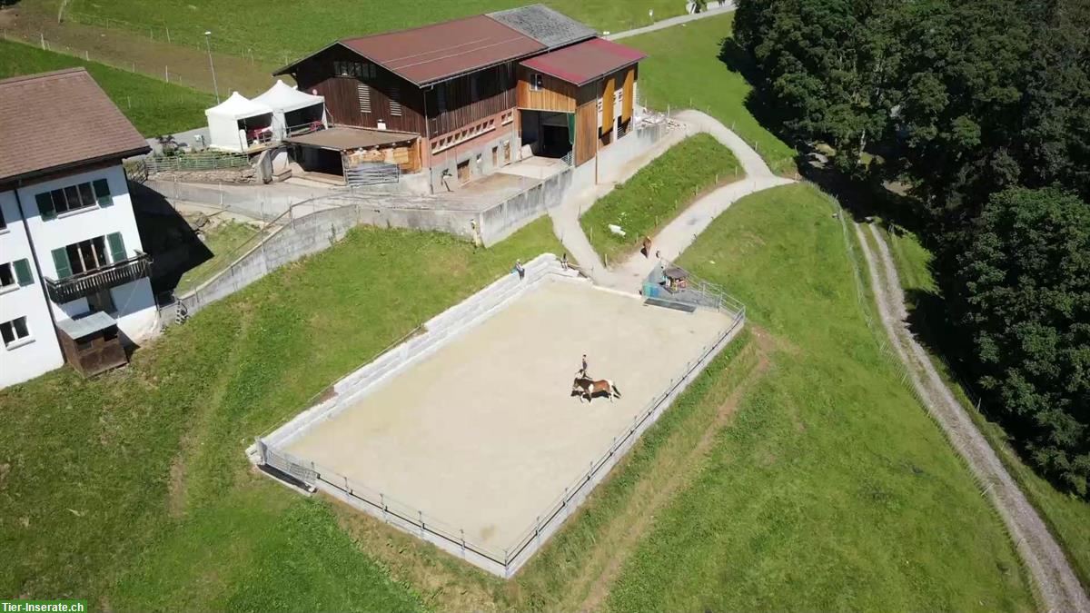 Bild 2: Ferien mit eigenem Pferd am Flumserberg / Ferienpferde