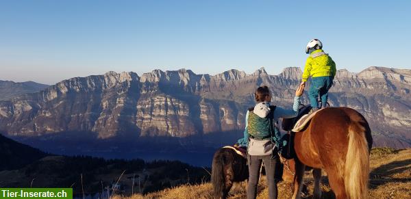 Bild 5: Ferien mit eigenem Pferd am Flumserberg