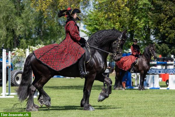 Bild 3: Klassischer Reitunterricht mit viel Sitzarbeit im Rafzerfeld