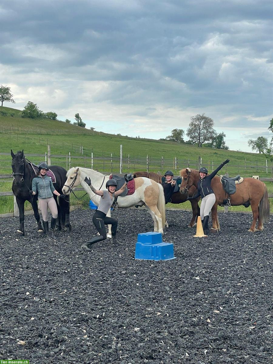 Bild 5: Mobiler Klassischer Reitunterricht mit viel Sitzarbeit im Rafzerfeld