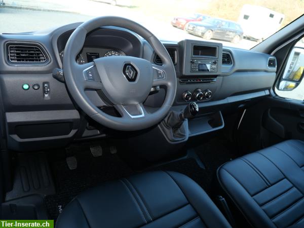 Bild 7: Renault Master AT.M | Pferdetransporter, Selbstfahrer