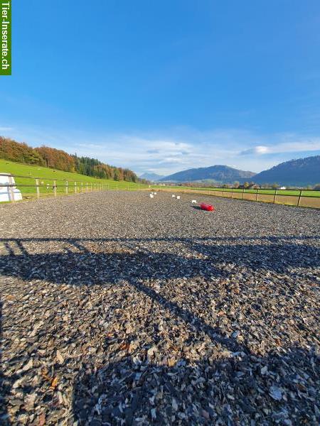 Bild 4: Schöne Fensterbox zu vermieten auf Bauernhof