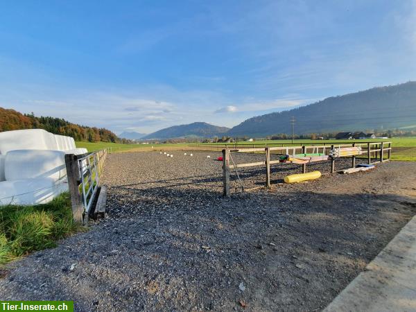 Bild 5: Schöne Fensterbox zu vermieten auf Bauernhof