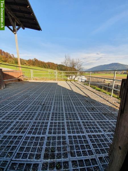 Bild 7: Schöne Fensterbox zu vermieten auf Bauernhof