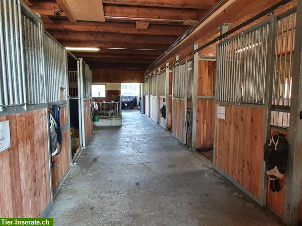 Bild 9: Schöne Fensterbox zu vermieten auf Bauernhof