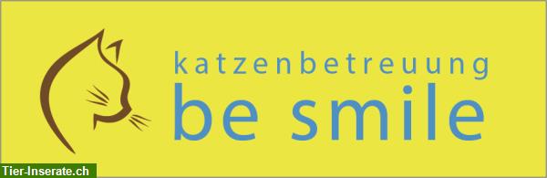 Katzenbetreuung be smile - behütet Katzen in Dübendorf seit 2013