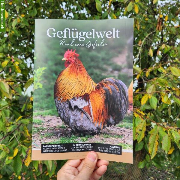 Bild 2: «Geflügelwelt» | das neue Fachmagazin für Geflügelhalter und -Züchter